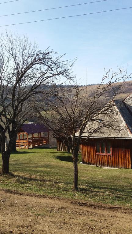 Cabana Bunicilor Ръкицеле Екстериор снимка