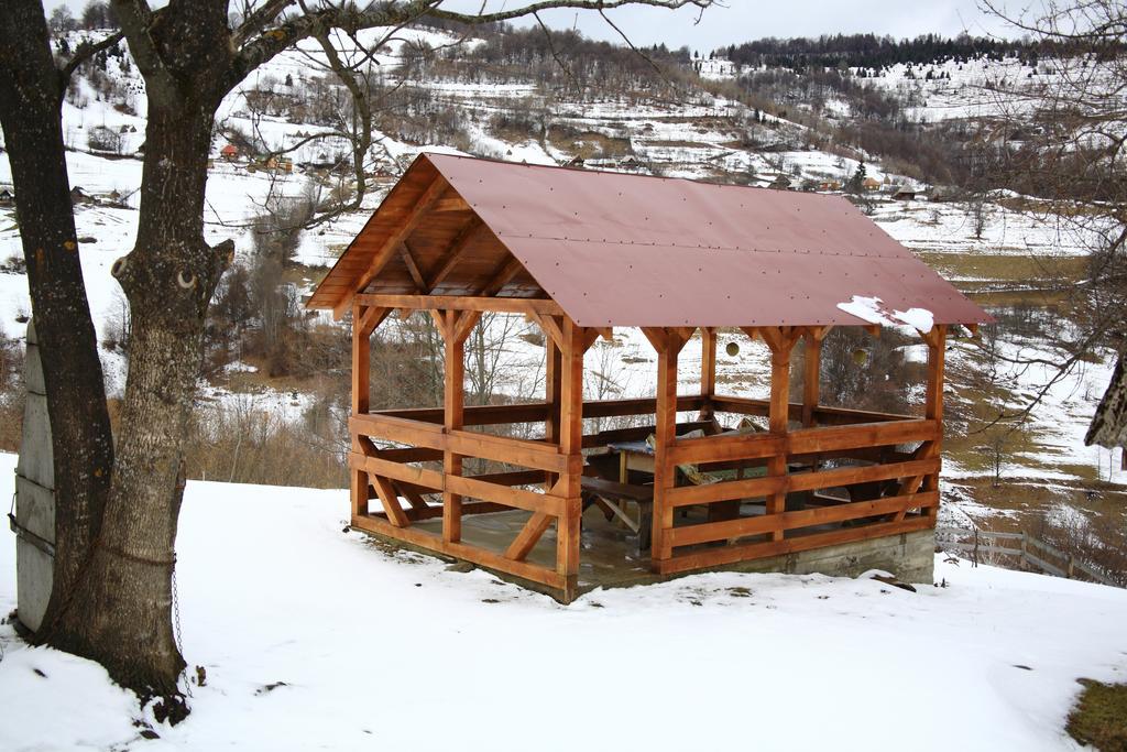 Cabana Bunicilor Ръкицеле Екстериор снимка